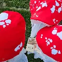 Mushroom hat