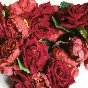 Atelier Spatz RedRoses-1.webp