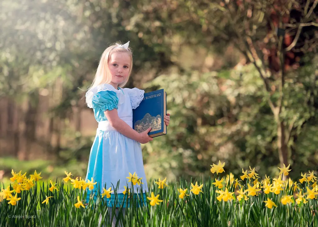 Alice in Wonderland Dress (3-4 years)