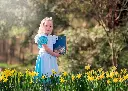 Alice in Wonderland Dress